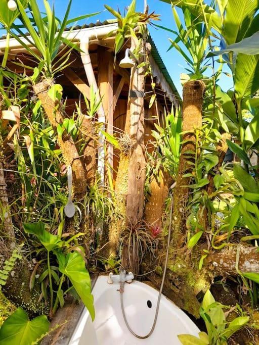 Magnifique Maison & En Bois Dans Jardin Tropical Proche Rivieres Et Foret Holiday home Lamentin