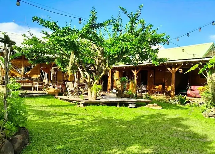Magnifique Maison & Bungalow En Bois Dans Jardin Tropical Proche Rivieres Et Foret