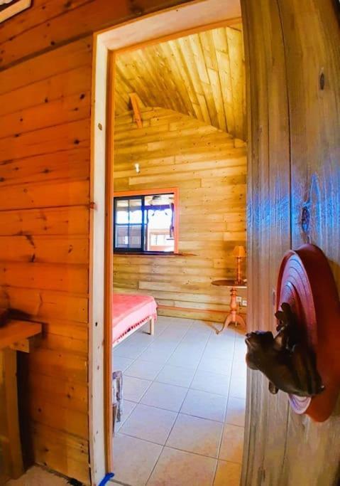 Hébergement de vacances Magnifique Maison & En Bois Dans Jardin Tropical Proche Rivieres Et Foret Lamentin