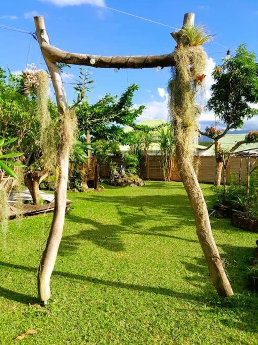 Magnifique Maison & En Bois Dans Jardin Tropical Proche Rivieres Et Foret