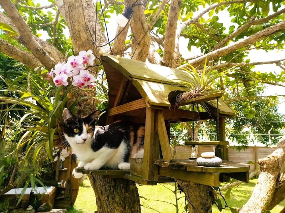Magnifique Maison & En Bois Dans Jardin Tropical Proche Rivieres Et Foret *
